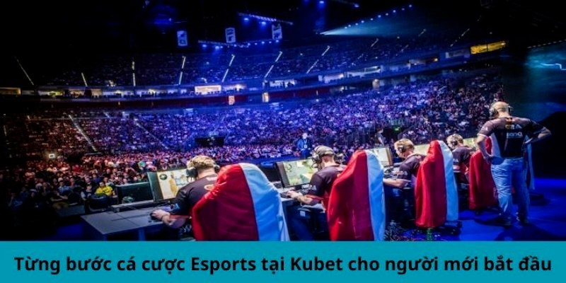 Thao tác đặt cược từng bước tại Esports